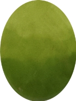 P466