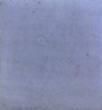P346